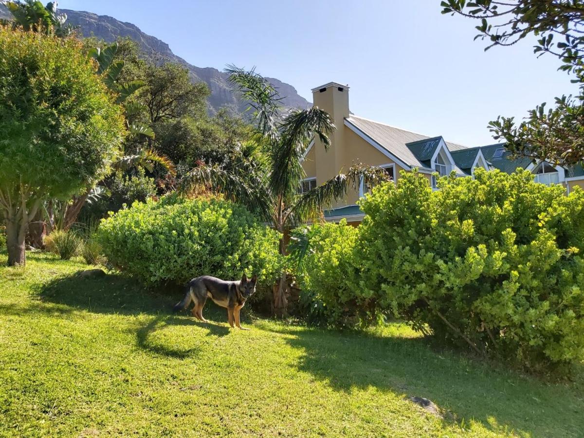 Villa La Paz Хаут Бей Екстериор снимка